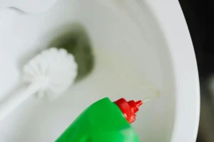 WC bouché : astuces simples avant d’appeler un plombier